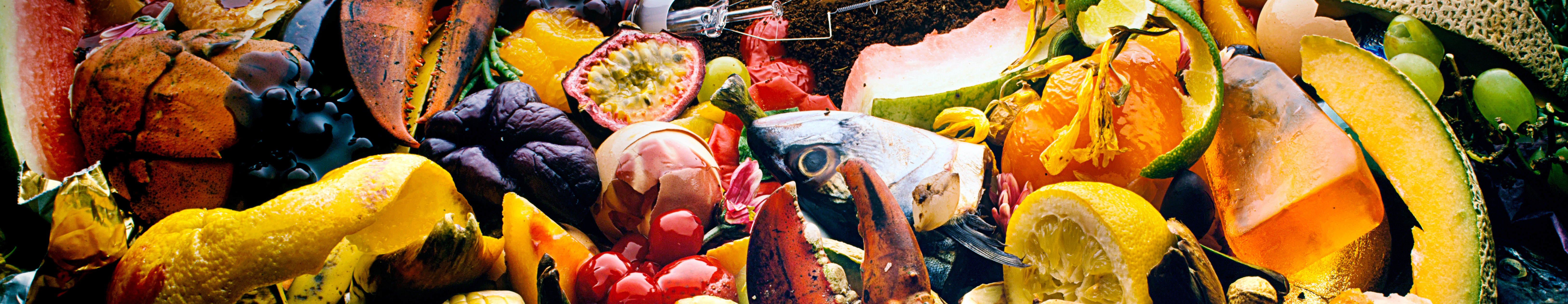 Minskat matsvinn och avfall