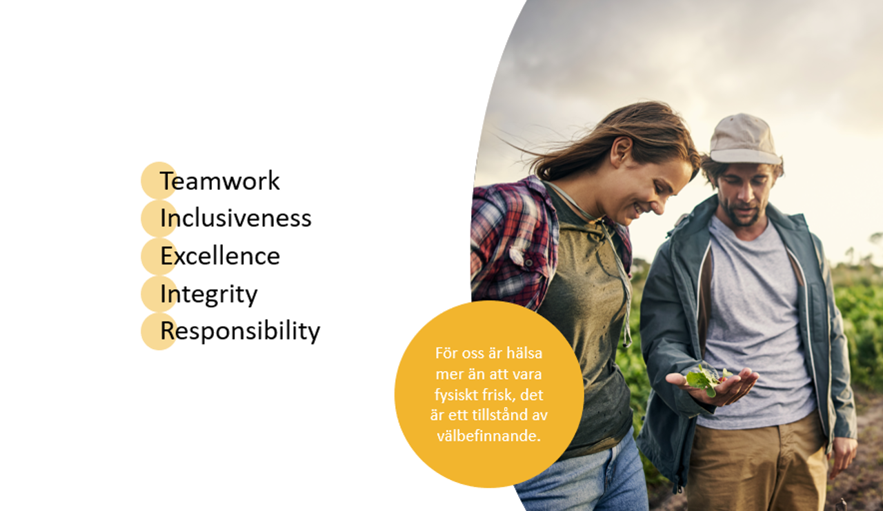 Man och kvinna stående i ett fält tillsammans. Orden Teamwork, Inclusiveness, Excellence, Integrity, Responsibility visas