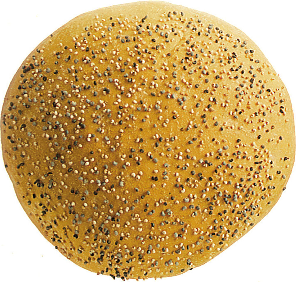 Rosenbröd med vallmo