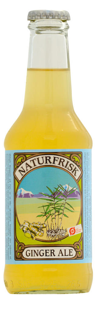 Ginger Ale EKO ENGL
