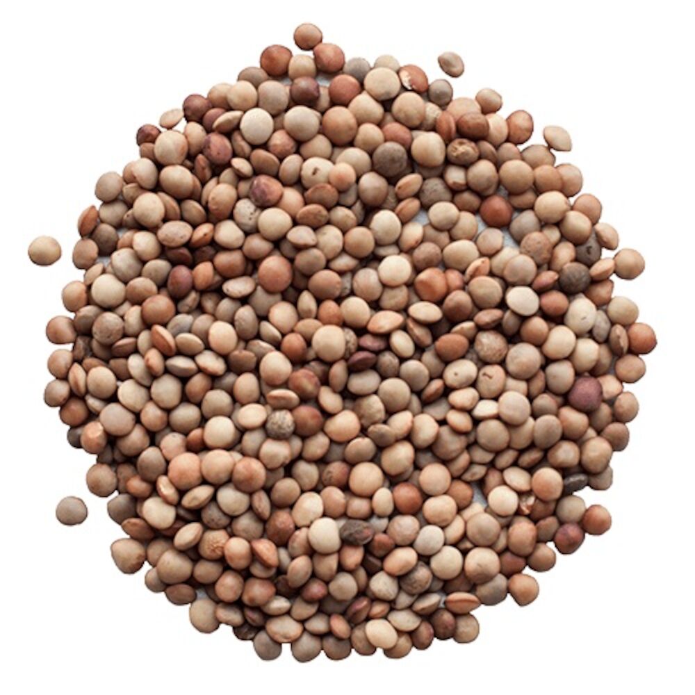 Gotlandslinser Kulturgröda 2,5 kg KRAV