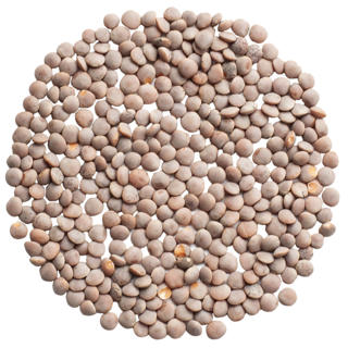 Korallins Rosana 2,5 kg KRAV