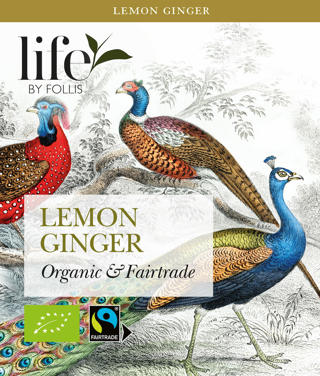 Örtte Citron Ingefära EKO