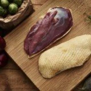 Ankbröst hona (Canette)