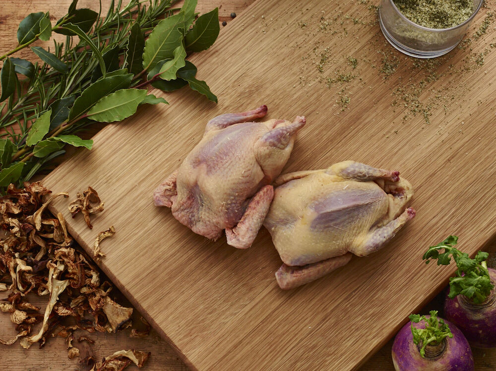 Blodduva hel grytfärdig