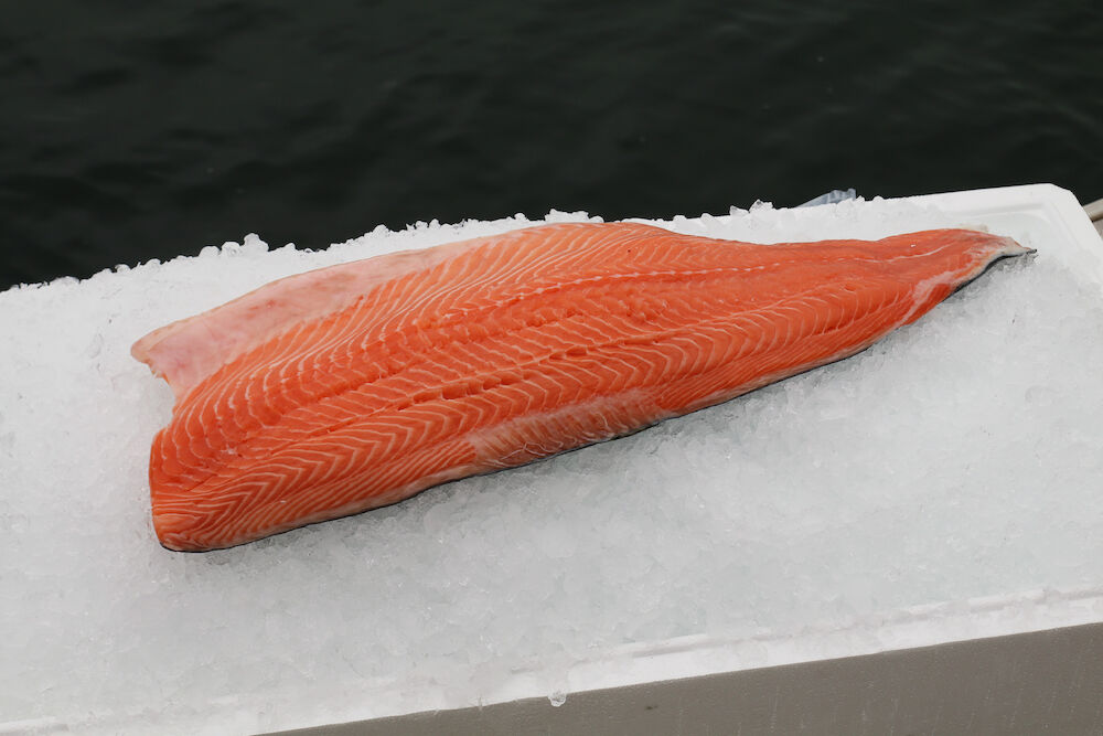 Laxfilé Utan Skinn C-trim Vakuumpackad