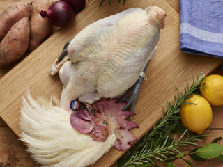 Bresse Kyckling med huvud 120 dagar