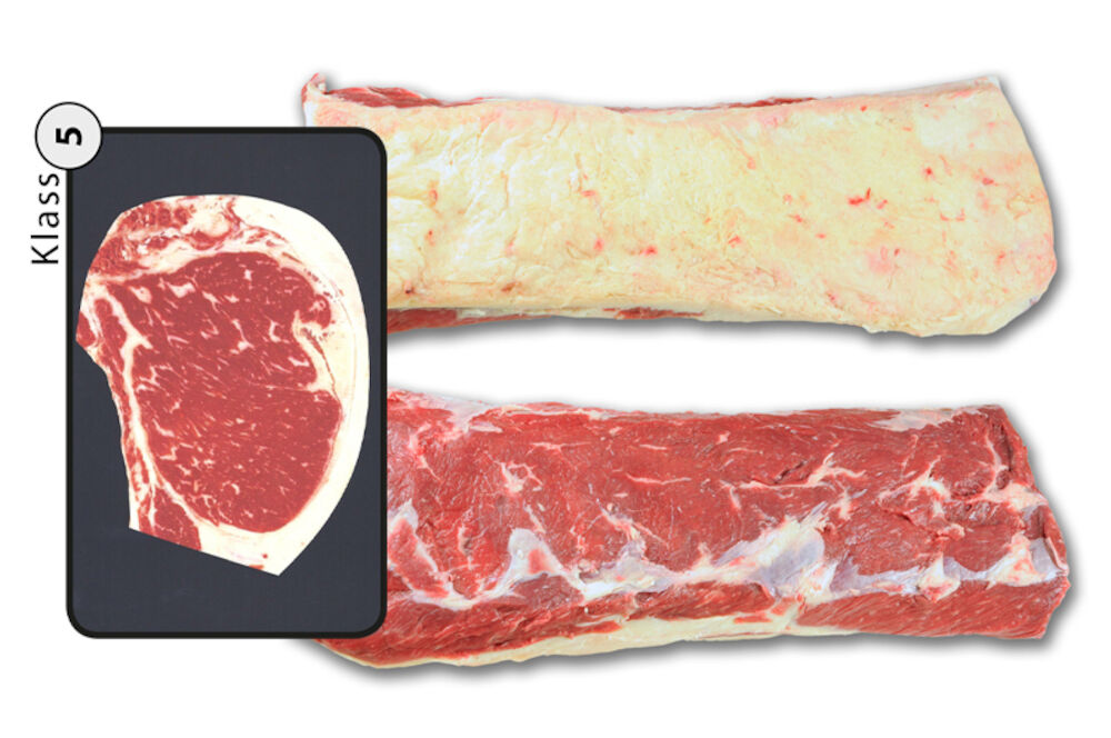 Ryggbiff med Kappa Klass 5 Sverige