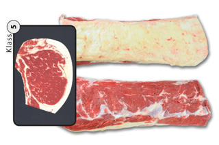 Ryggbiff med Kappa Klass 5 Sverige