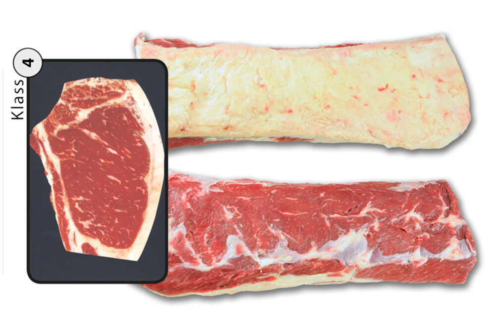 Ryggbiff med Kappa Klass 4 Sverige