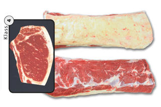 Ryggbiff med Kappa Klass 4 Sverige