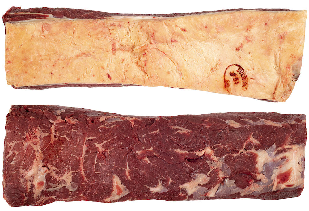 Ryggbiff med Kappa Sverige