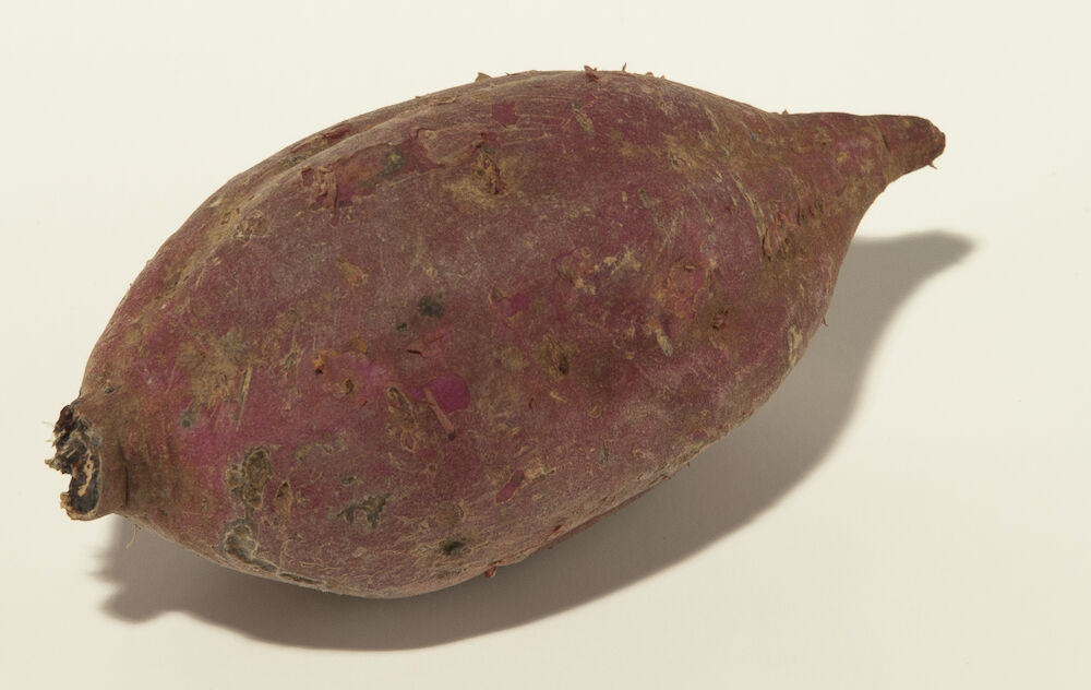 Sötpotatis lila tvättad