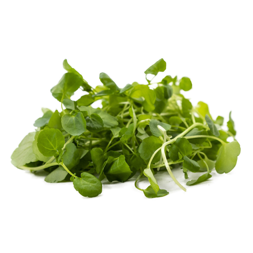 Vattenkrasse lösvikt