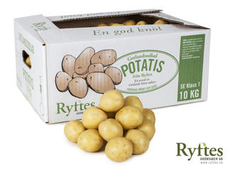 Potatis medel tvättad Gotland SE