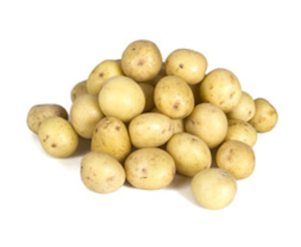 Kulpotatis Gotland tvättad SE