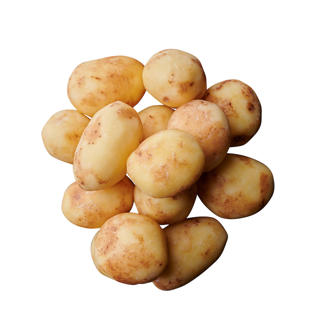 Potatis vac Barske 32-45 svensk