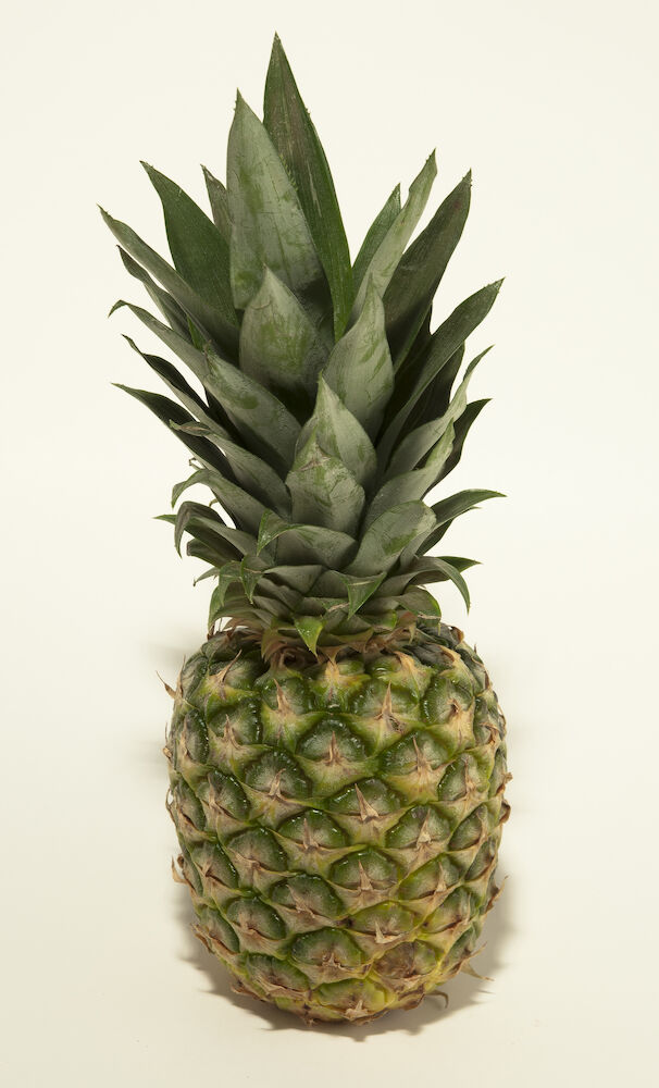 Ananas EKO