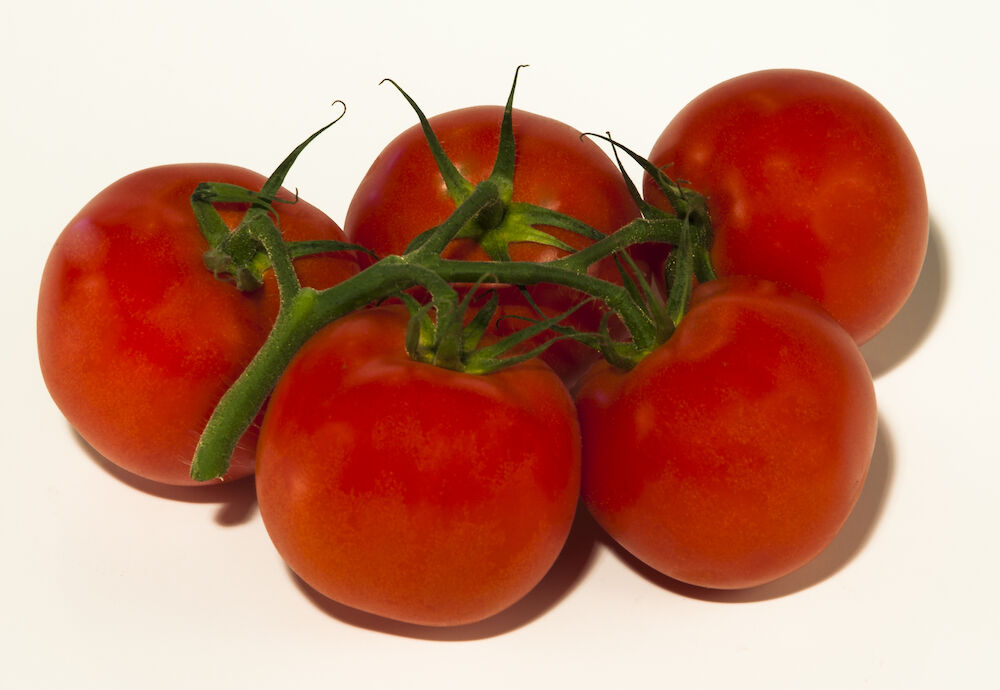 Tomat kvist EKO  Klass 1