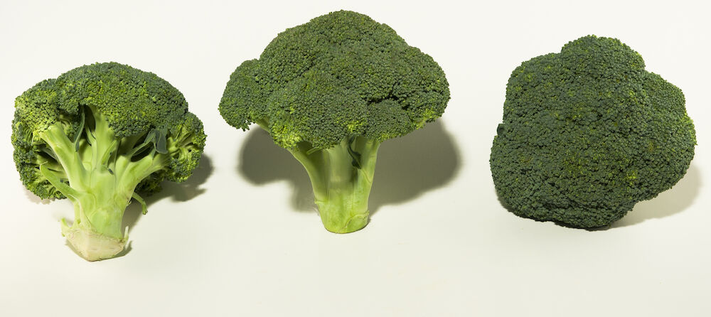 Broccoli EKO
