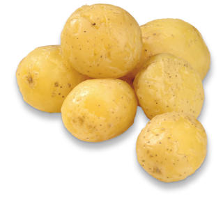 Minutpotatis borstad KRAV