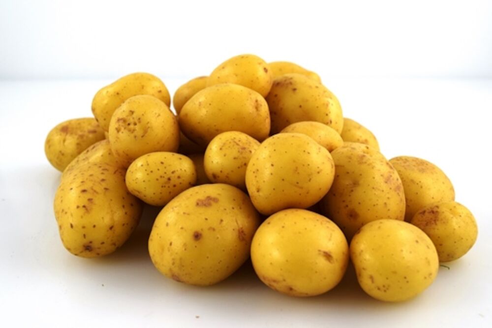Färskpotatis kul tvättad IMP
