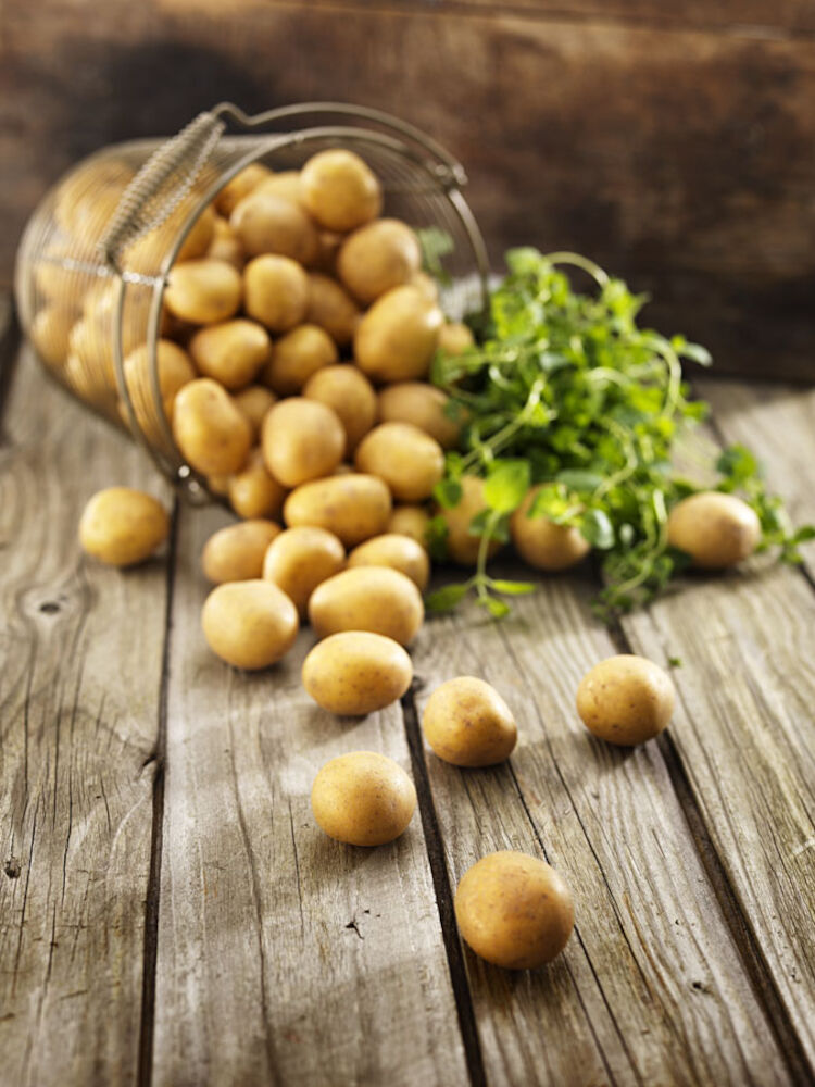 Kulpotatis Tvättad 35-40 mm SMAK-märkt 
Storköksprima Sverige x