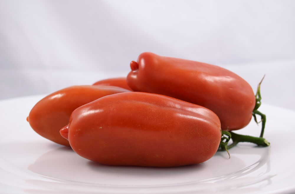 Tomat San Marzano IT  Klass 1