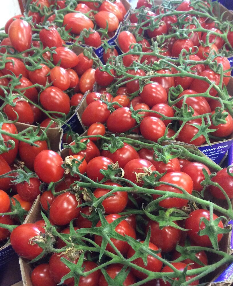 Tomat Datterini IT  Klass 1