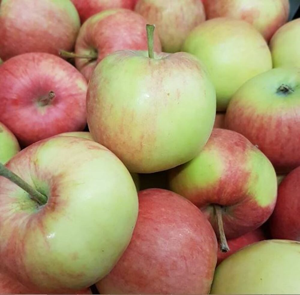 Äpple Nanna SE  Klass 1