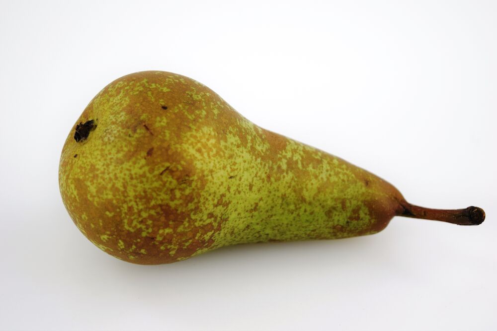 Päron Conference EKO  Klass 1