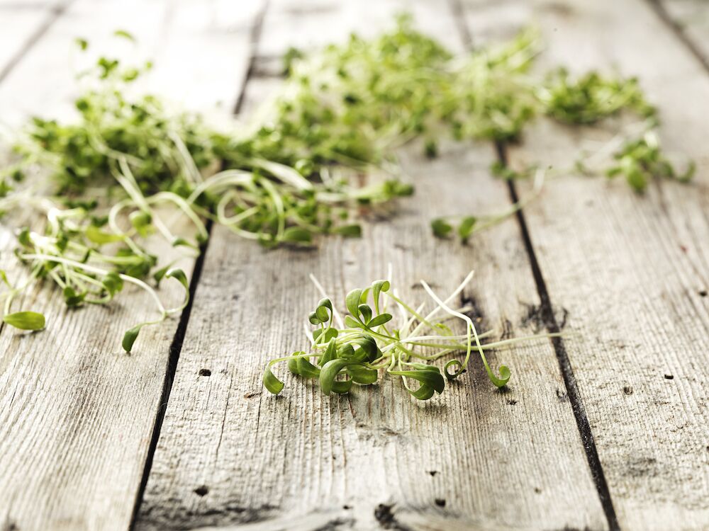 Krasse småbladig 30g