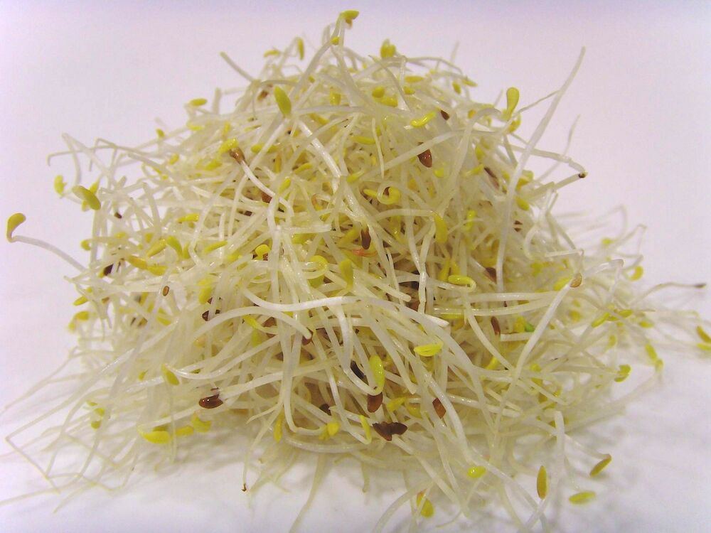 Groddar Alfa KRAV SE