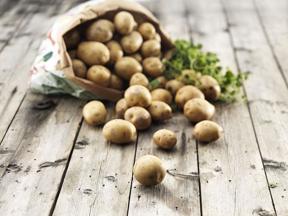Potatis Medel Tvättad 40-55 mm 
SMAK-märkt Storköksprima KRAV Sverige