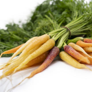 Morot mini regnb knippe mini Klass 1