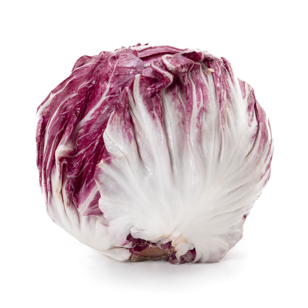 Roseesallat Klass 1 SE