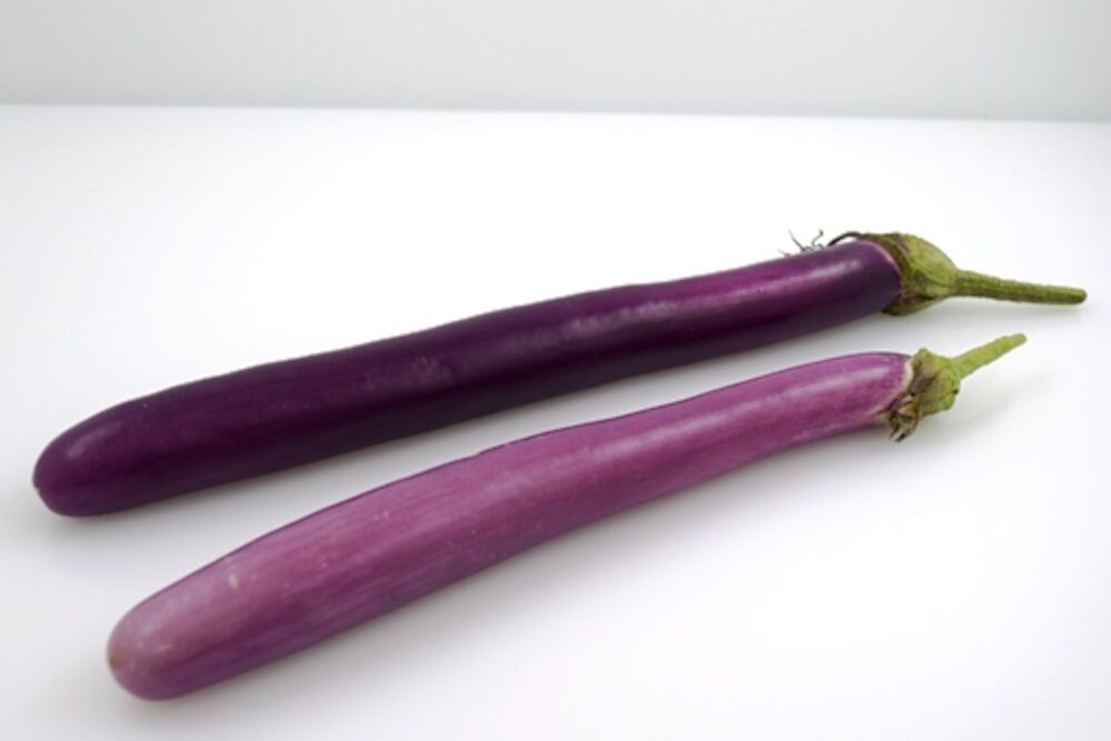 Aubergine Japansk