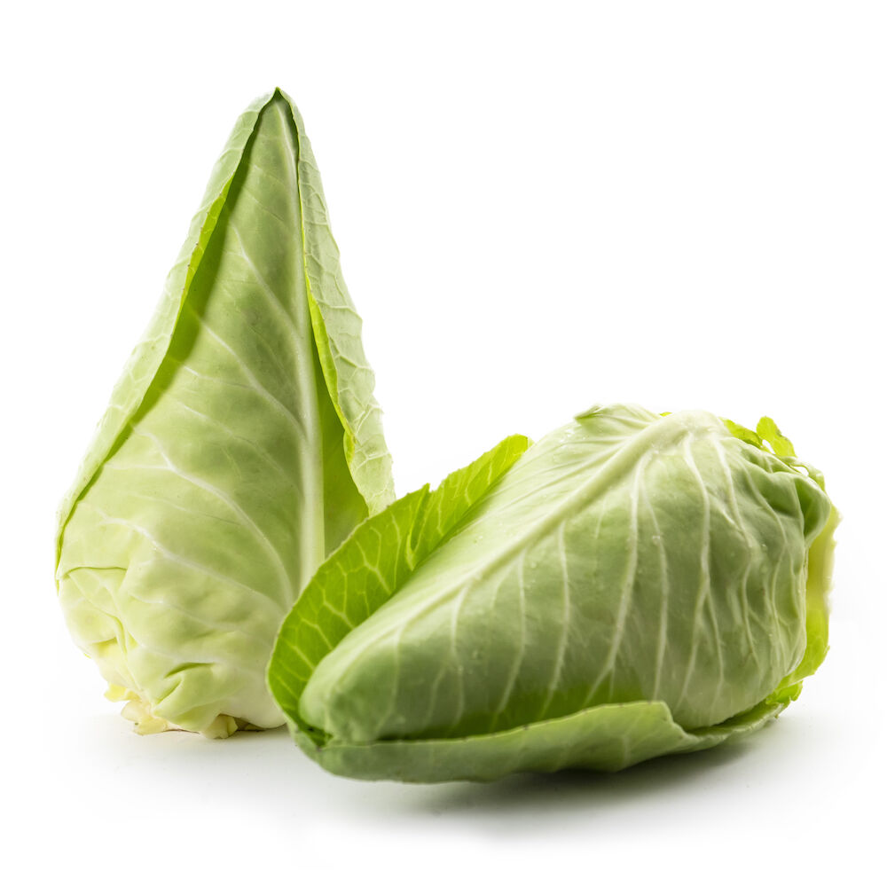 Spetskål mini