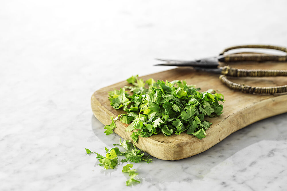 Koriander finhackad 500 g