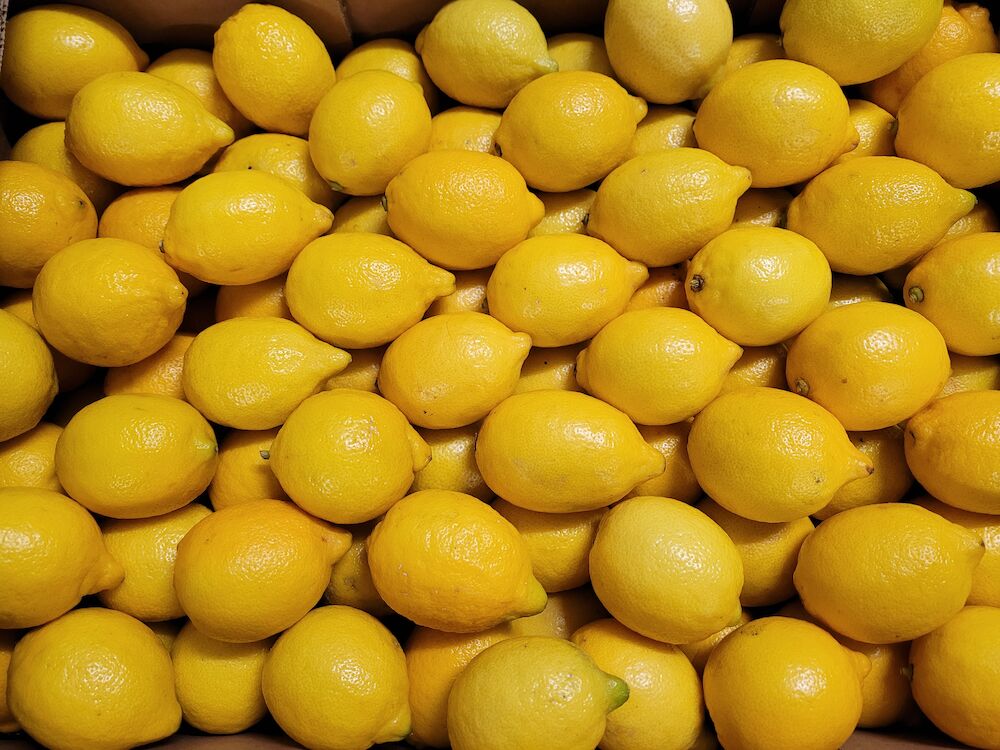 Citron basic Primofiori/vernas Klass 1