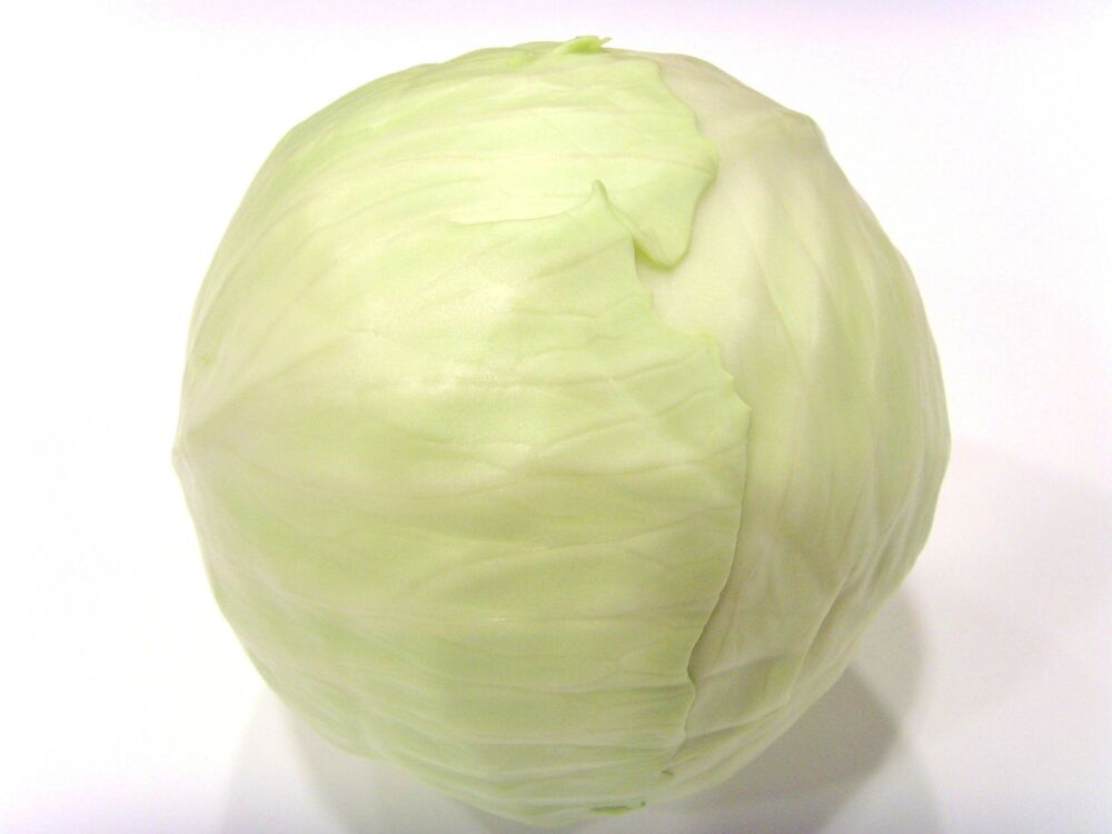 Vitkål import