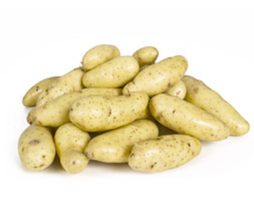 Sparrispotatis tvättad SE