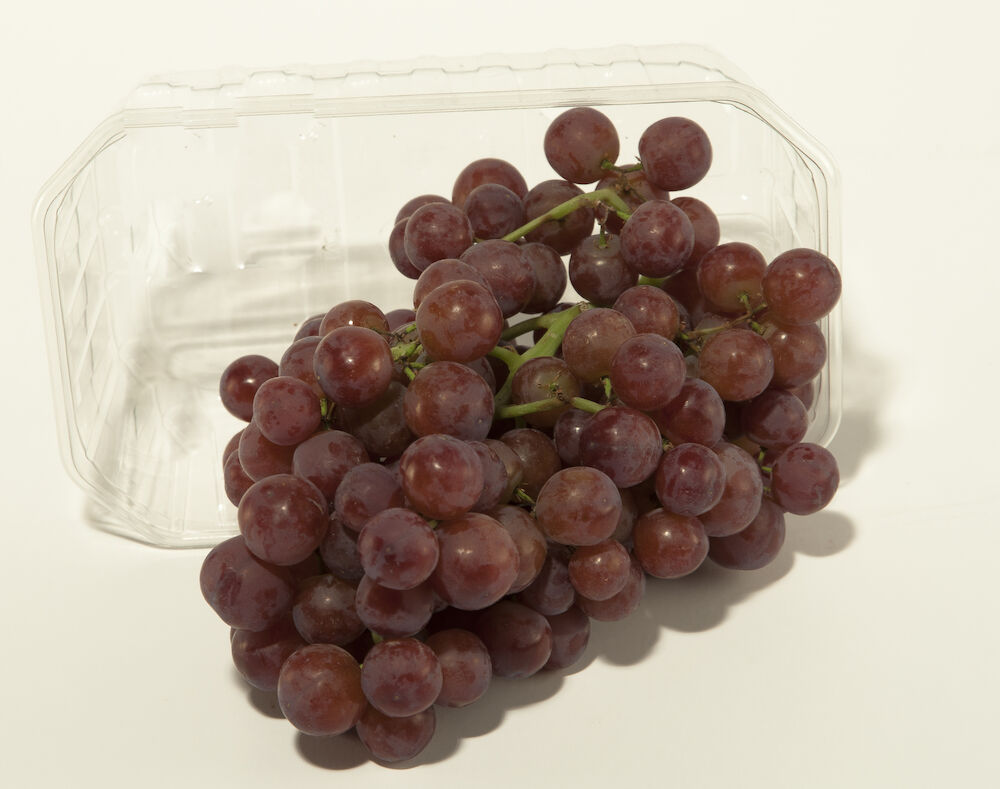 Druva röd ask Röda Klass 1