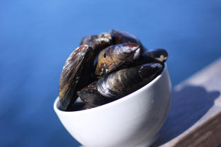 Blåmussla i skal kokta små