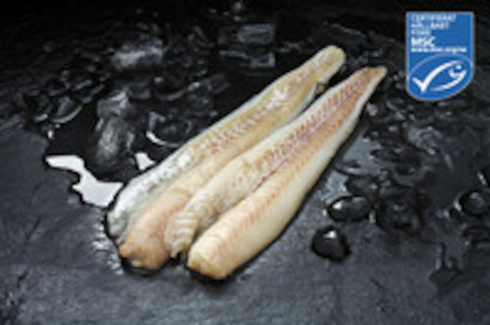 Alaska pollockfilé MSC