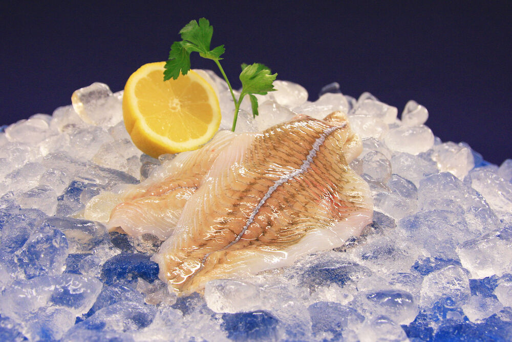 Rödspättafilé 55-80 g MSC