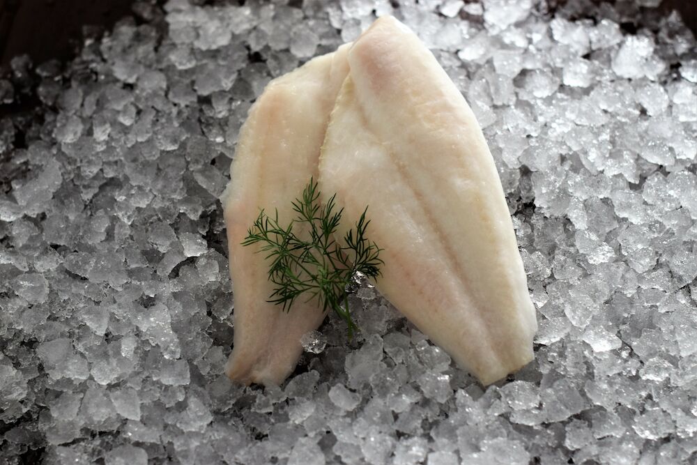 Stillahavsskäddafilé 80-120 g MSC