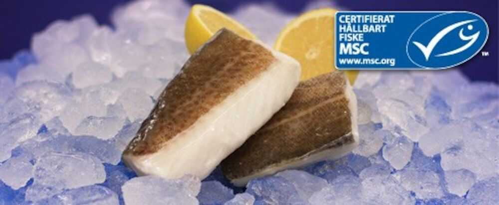 Torskrygg med skinn MSC