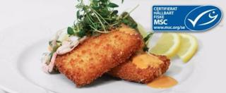 Torskfiskett med ekologisk panerad MSC EKO