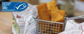 Torskfilé med pankopanad MSC